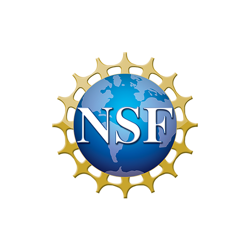 NSF Logo